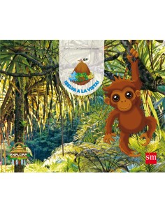 PROYECTO EXPLORA SELVA A LA VISTA 4 ANOS 2º TRIMESTRE 2017